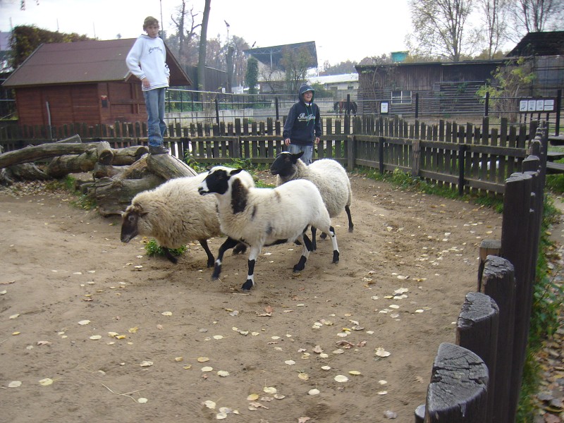 img00022.jpg