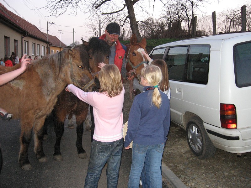 img00017.jpg