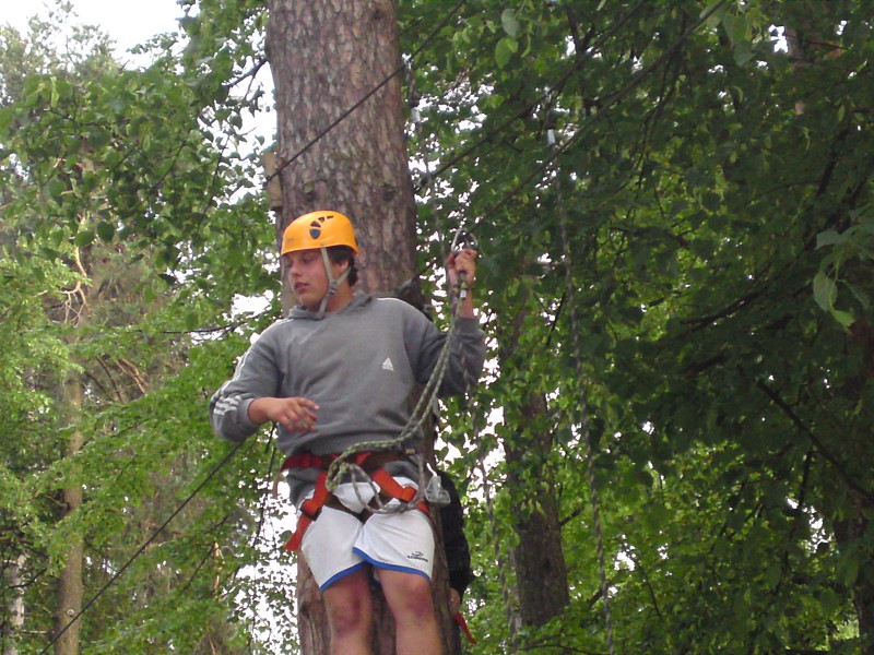 img00052.jpg