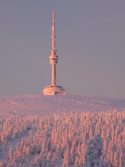 img00170.jpg