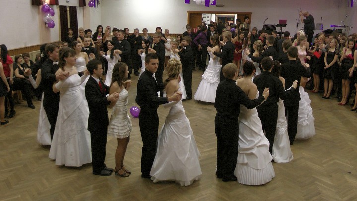 img00239.jpg