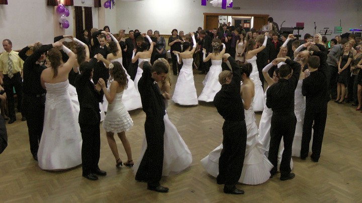 img00246.jpg