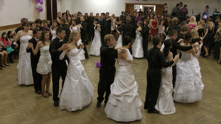 img00253.jpg