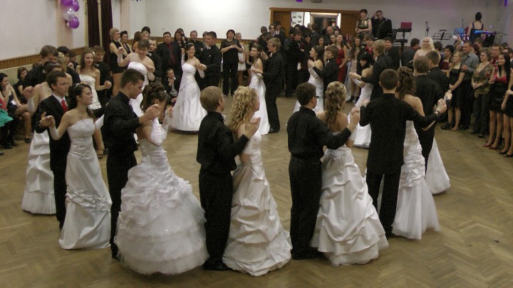 img00260.jpg