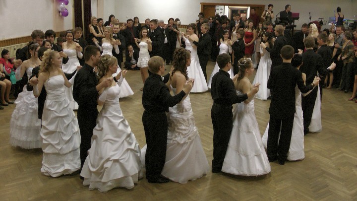 img00264.jpg