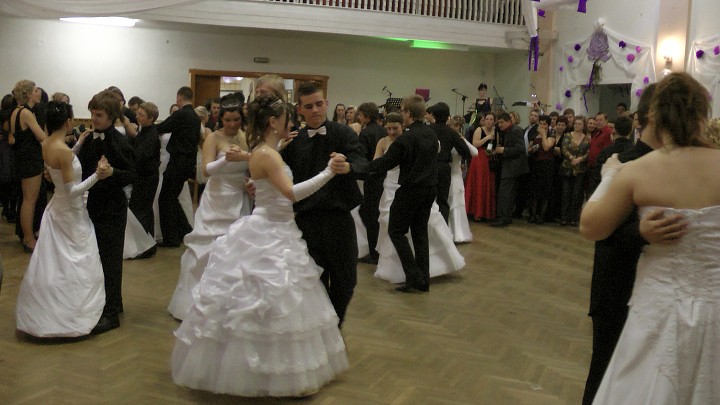 img00313.jpg