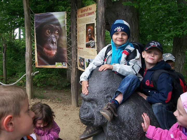 img00025.jpg