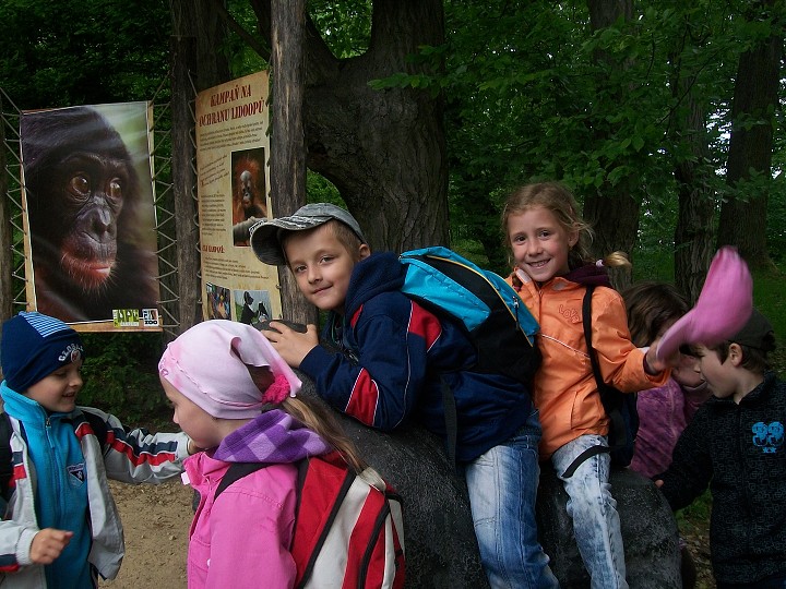 img00026.jpg