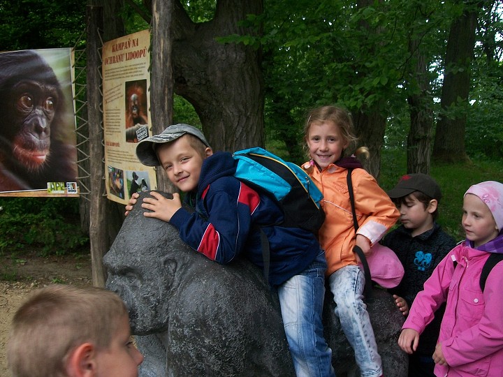 img00027.jpg