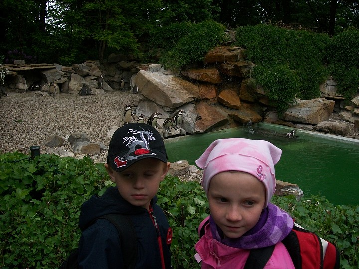 img00028.jpg