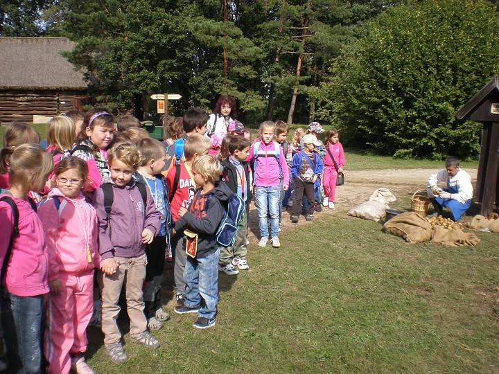 img00009.jpg