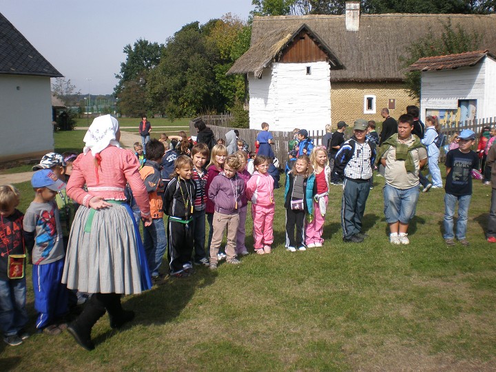 img00035.jpg