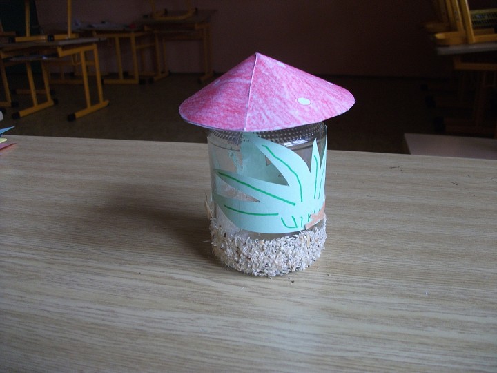 img00007.jpg