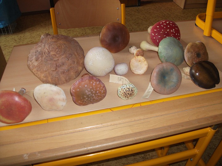 img00008.jpg