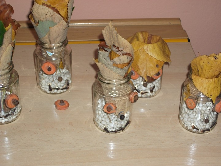 img00014.jpg