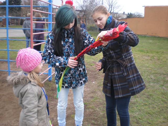 img00009.jpg