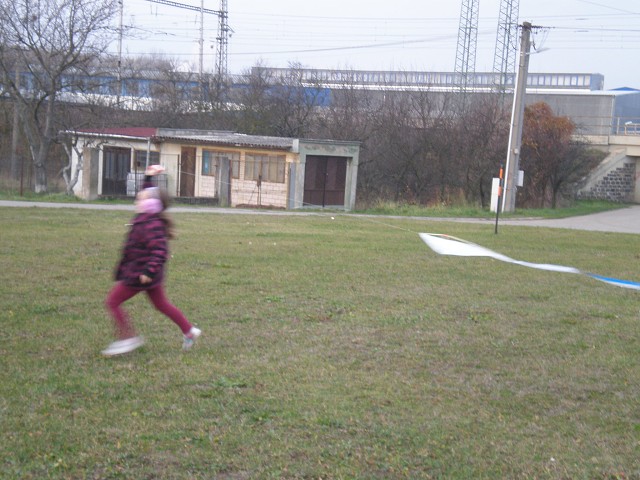 img00013.jpg