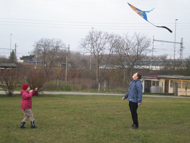 img00017.jpg