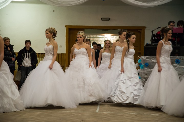 img00042.jpg