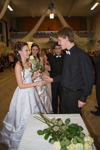 img00087.jpg