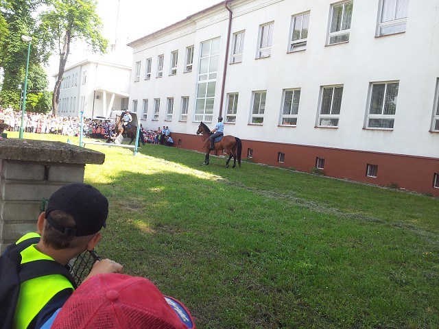 img00009.jpg