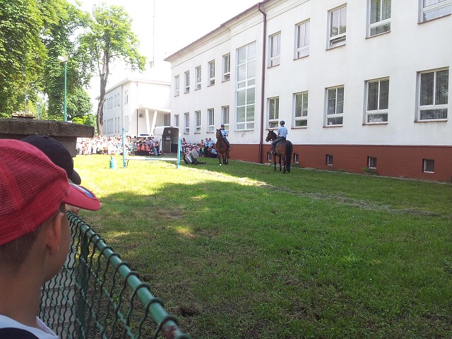 img00010.jpg