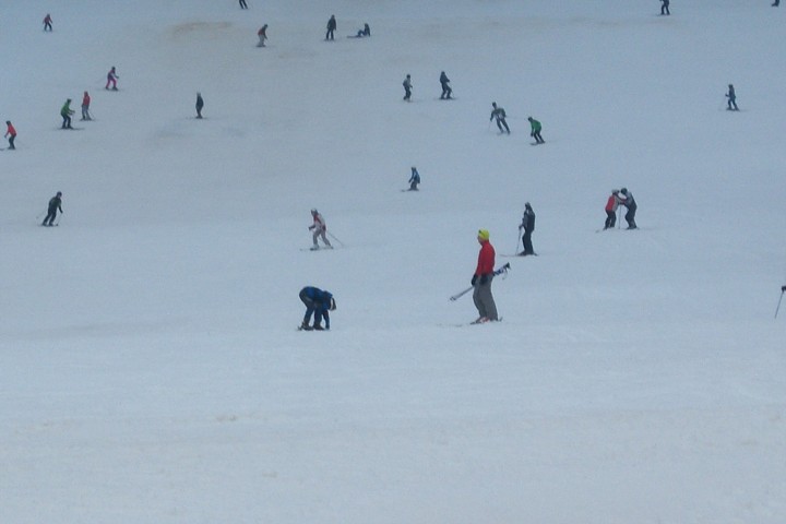 img00085.jpg