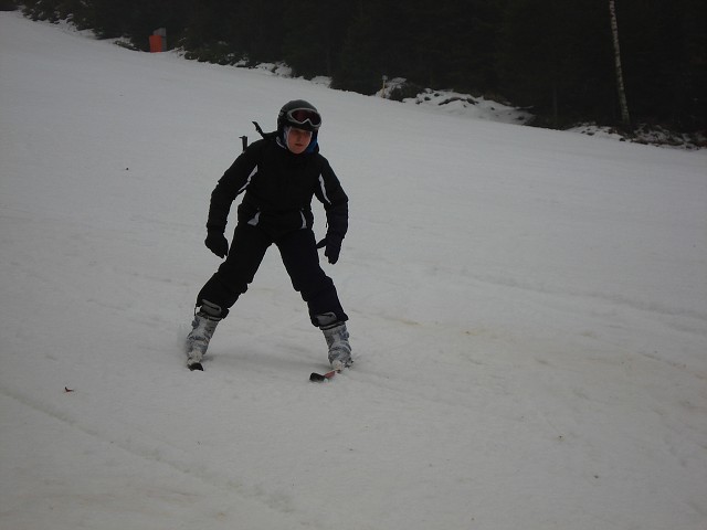img00172.jpg