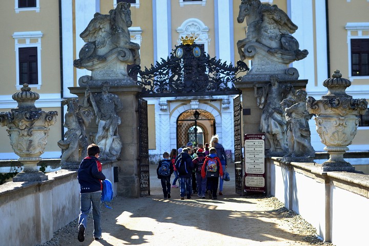 img00005.jpg