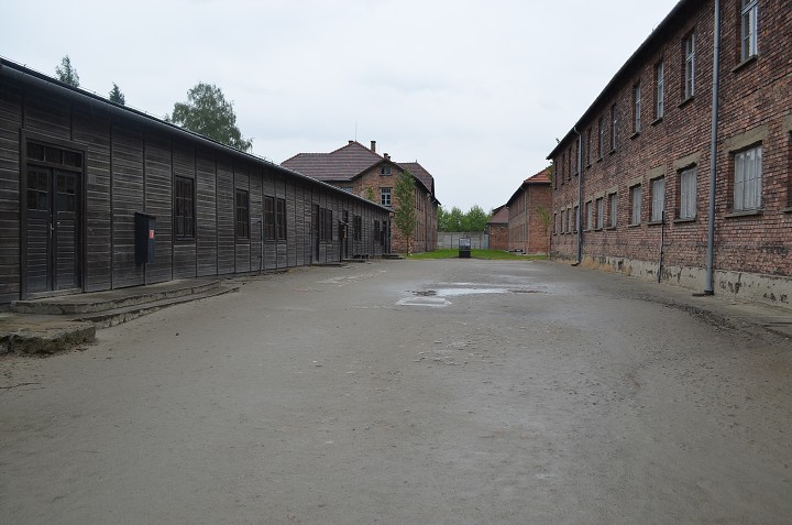 img00095.jpg
