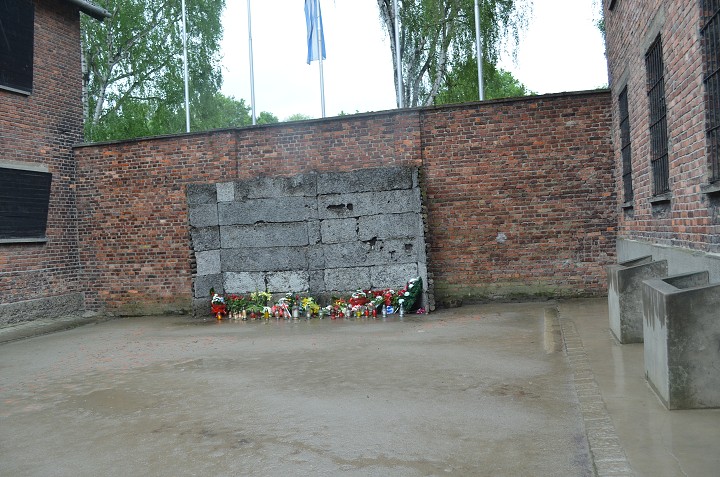img00105.jpg