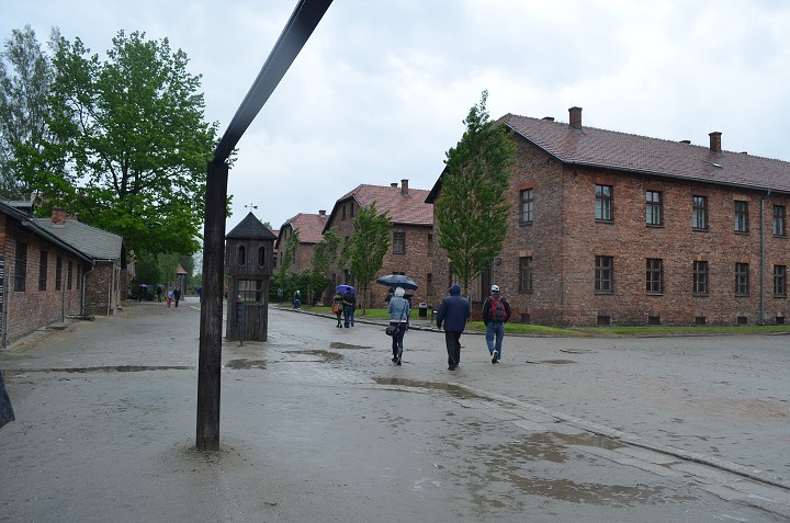 img00111.jpg