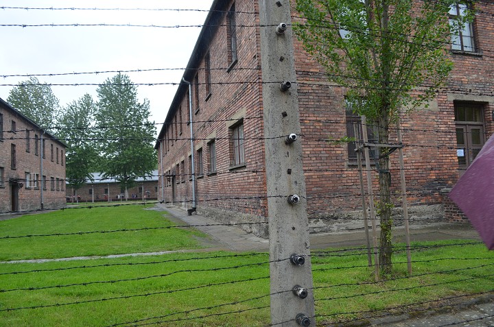 img00113.jpg