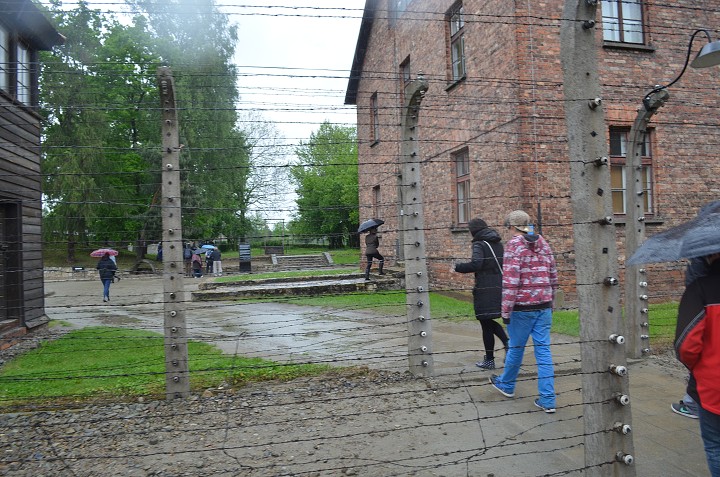 img00115.jpg