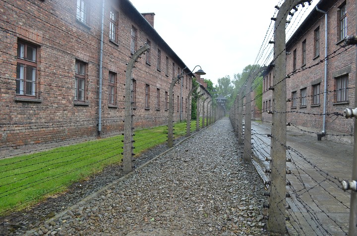 img00116.jpg