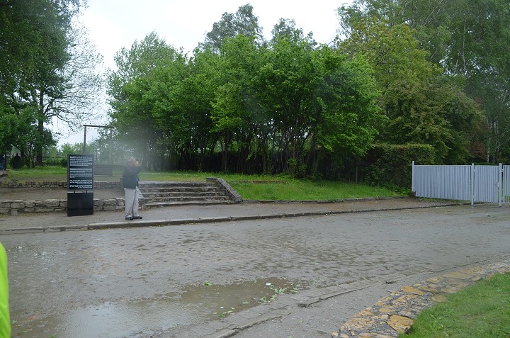 img00119.jpg