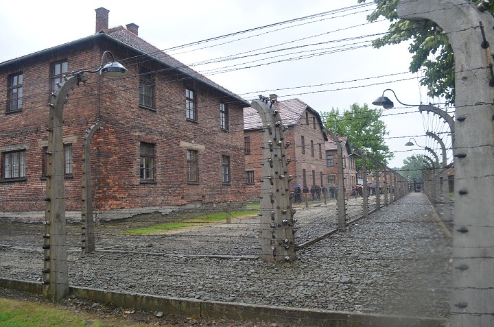 img00132.jpg