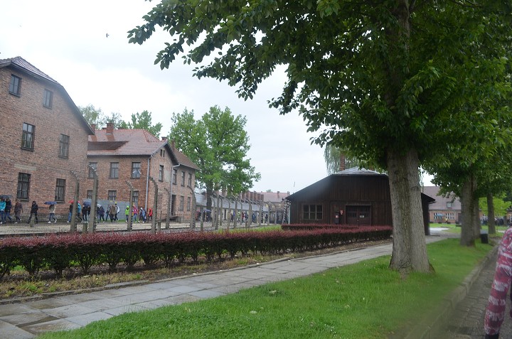 img00135.jpg