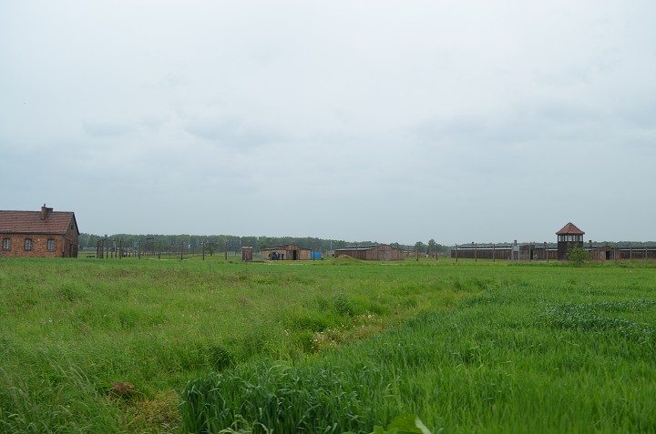 img00137.jpg