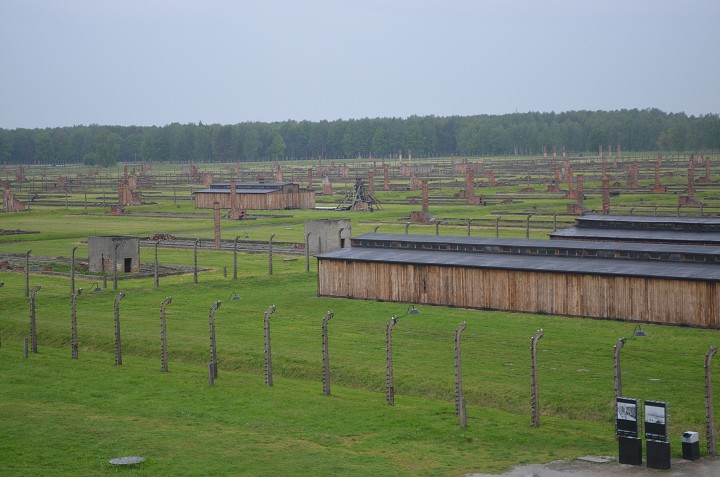 img00154.jpg