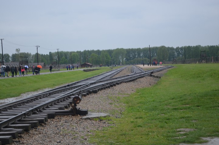 img00155.jpg