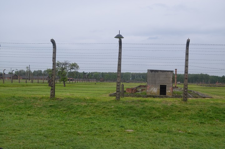 img00163.jpg