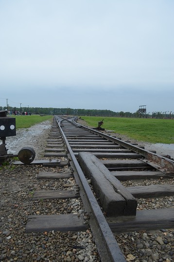 img00165.jpg