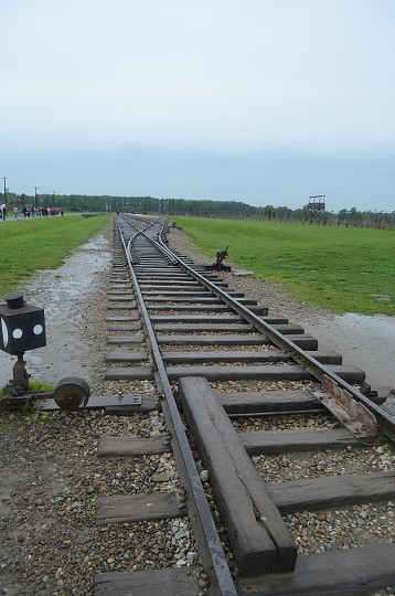img00166.jpg