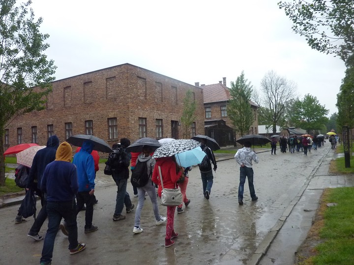 img00186.jpg