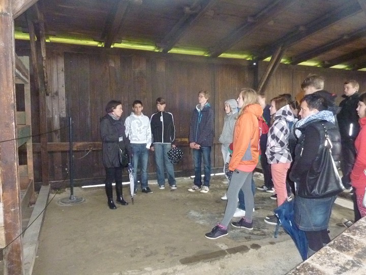 img00193.jpg