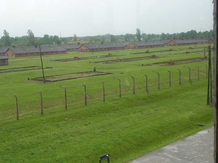 img00195.jpg