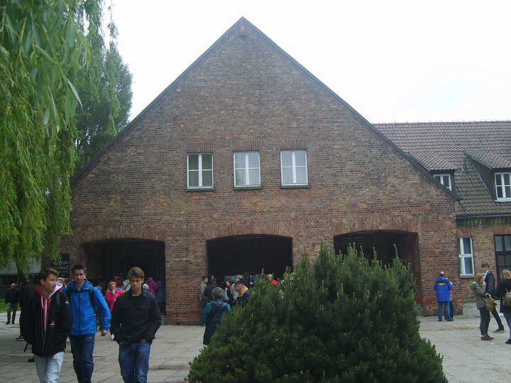 img00206.jpg