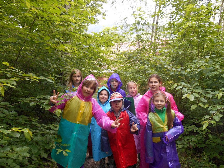 img00033.jpg