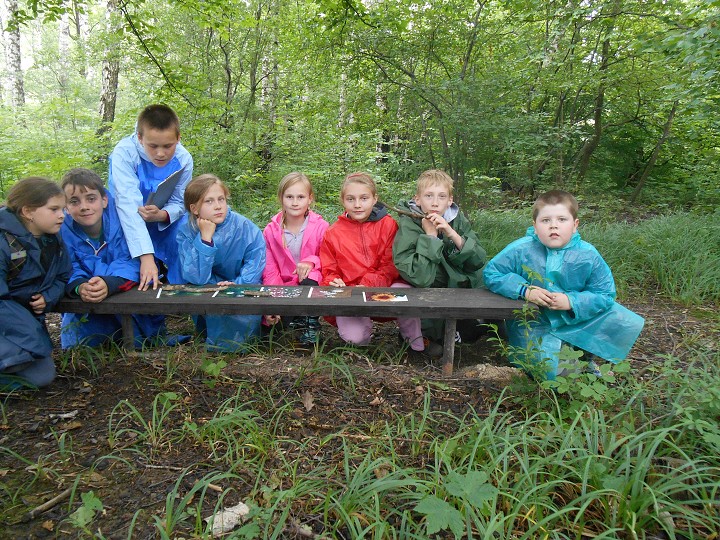 img00037.jpg